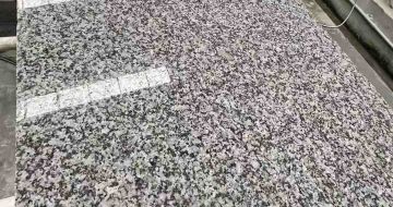 承德 芙蓉白光面