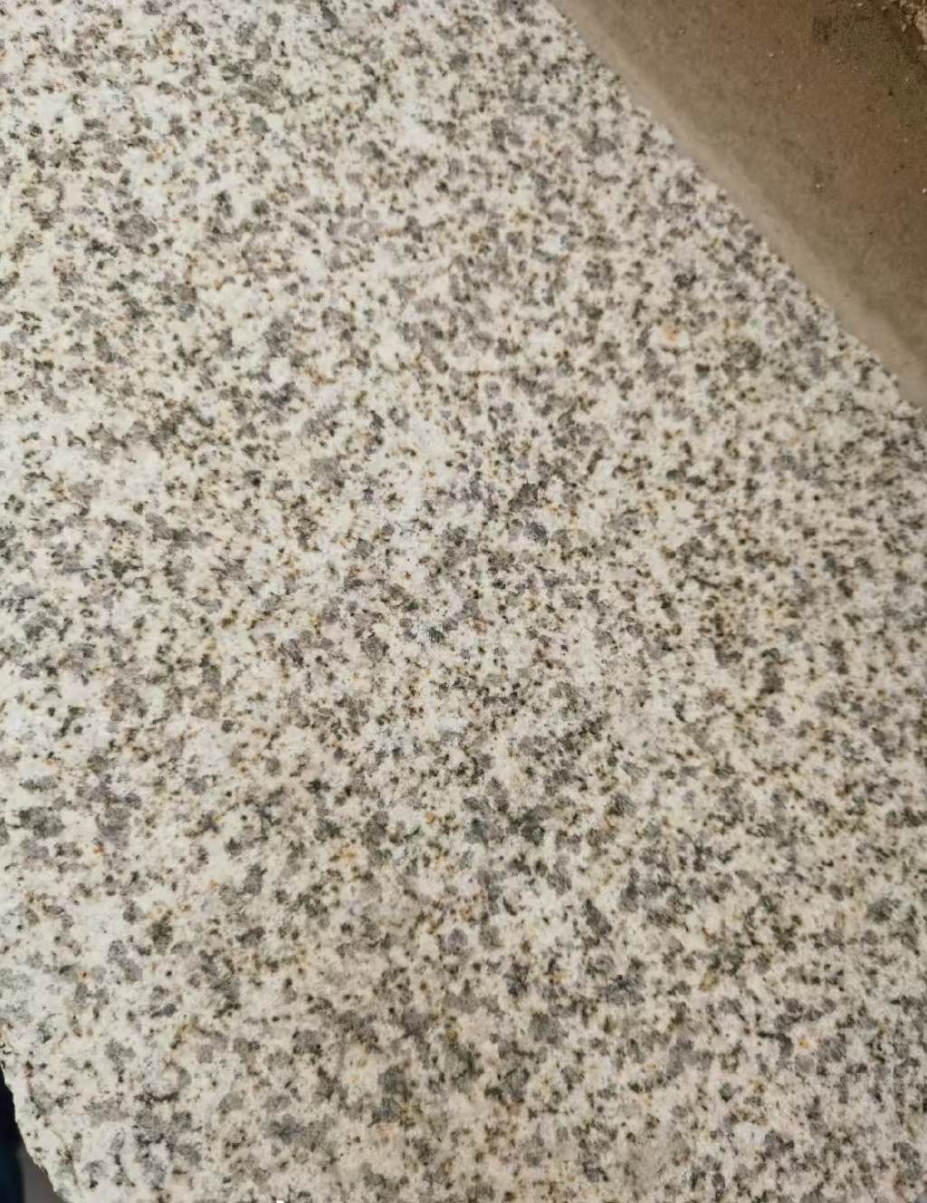 承德 黄金麻中黄光面